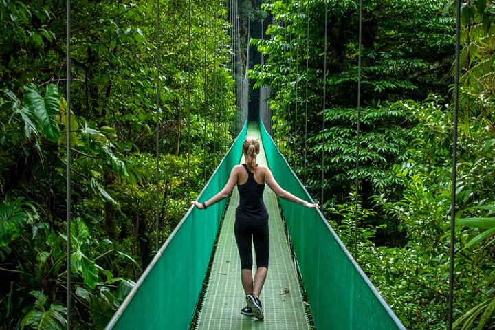 Puntarenas Tour Rainforest Hanging Bridges & Skywalk by Greenway Tours.